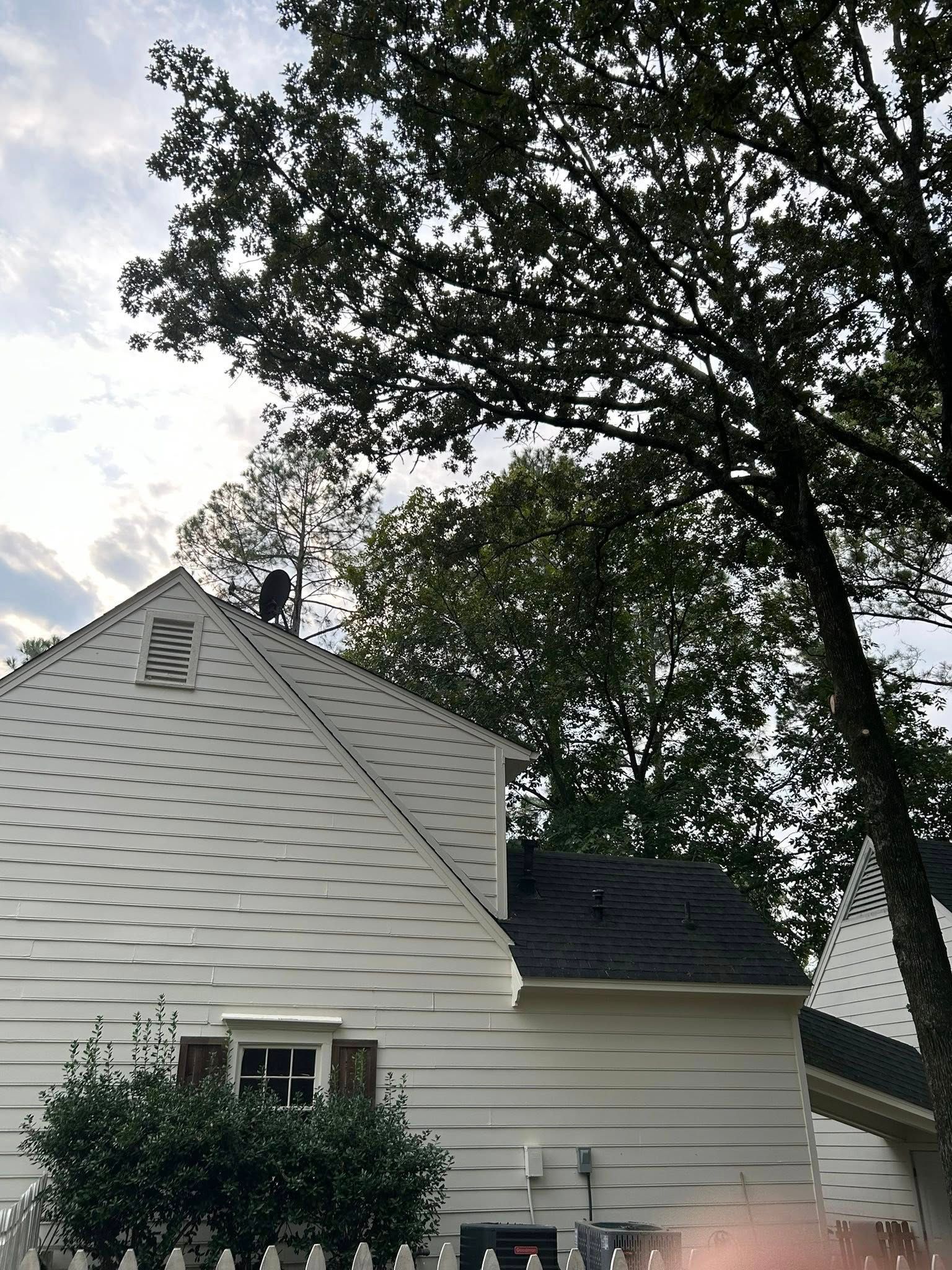 White house with dark roof under large tree branches on a cloudy day