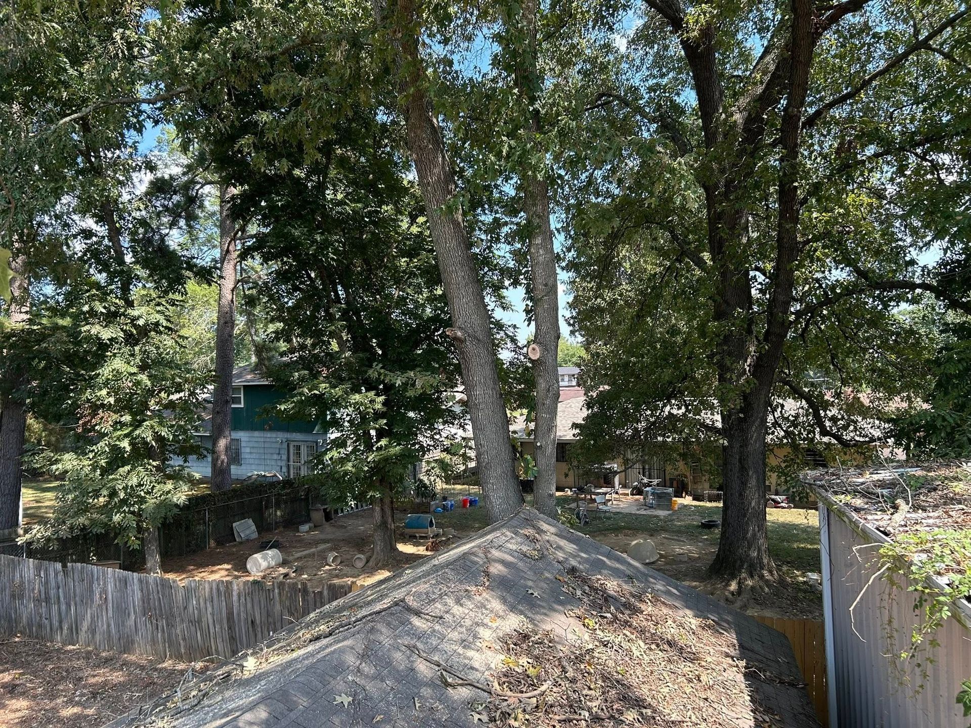 Tree-filled backyard with a dirt mound, wooden fence, and a house partially visible through the trees.