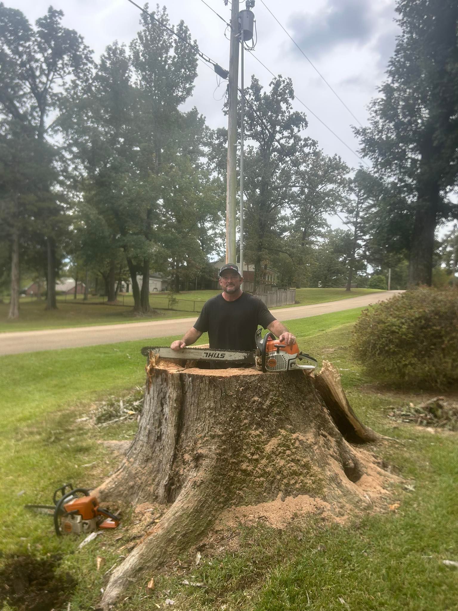 Person standing behind a large tree stump with a chainsaw in a grassy park.