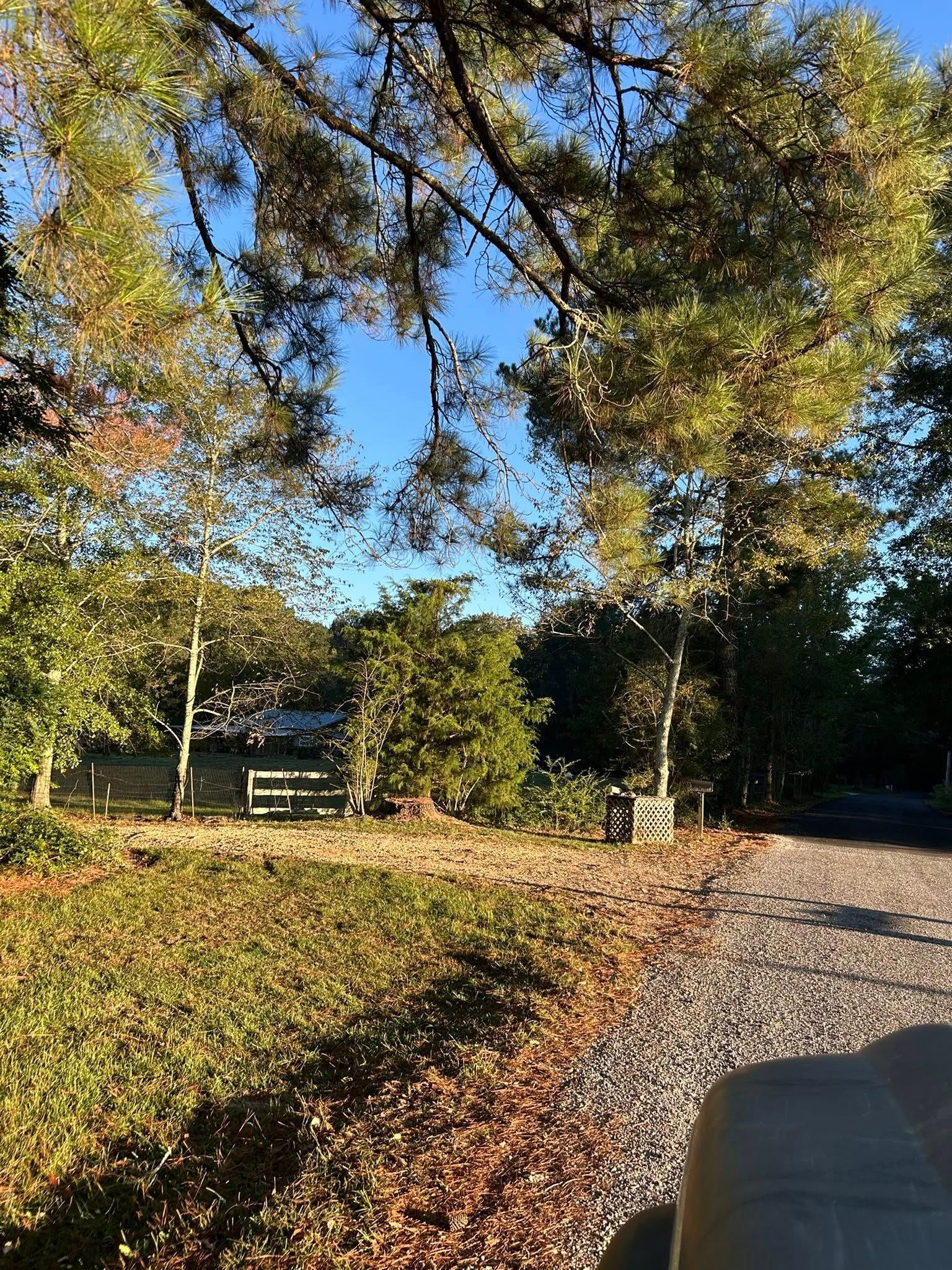 Sunlit park path beside trees with fallen leaves and a grassy field under a blue sky