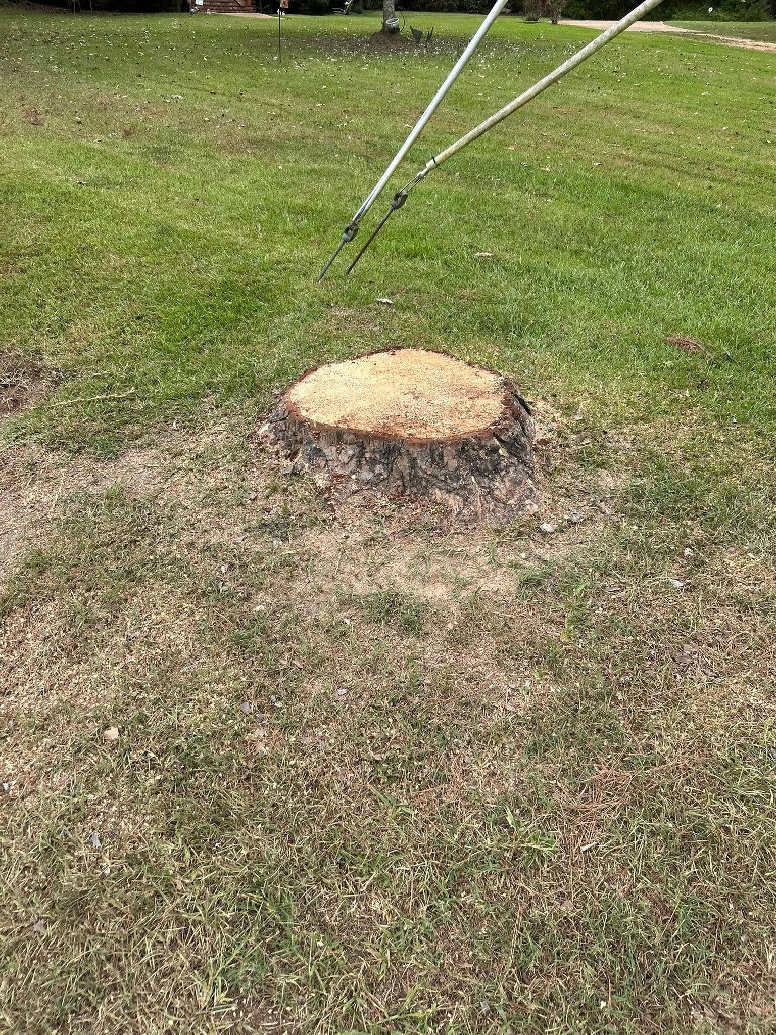 A small, round straw-colored mound on a grassy lawn with two white stakes nearby.