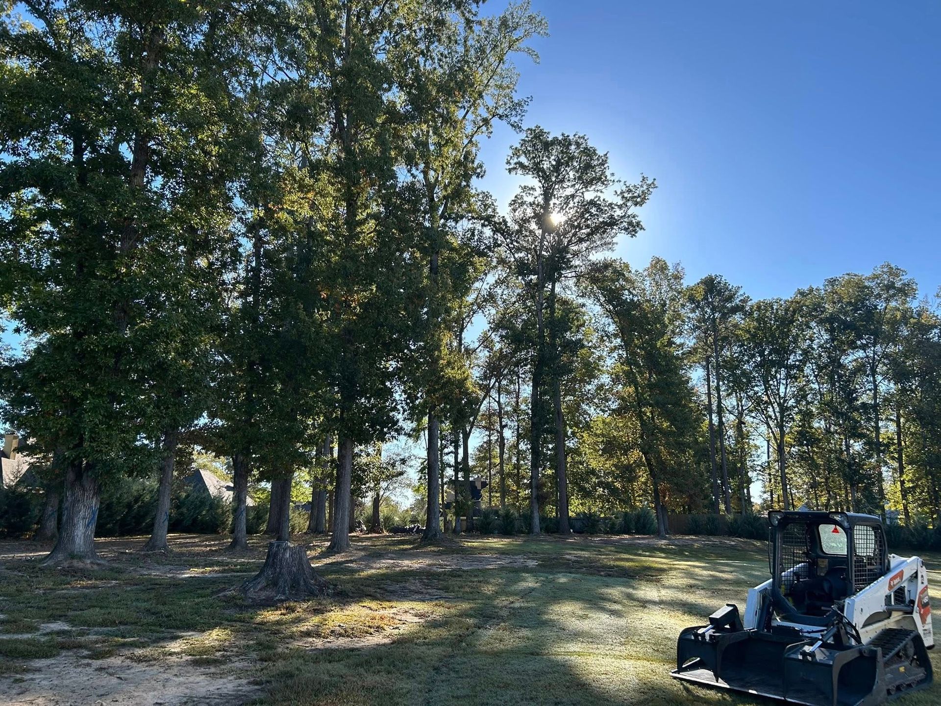 Tree-filled park with a compact utility vehicle on a sunny grassy field