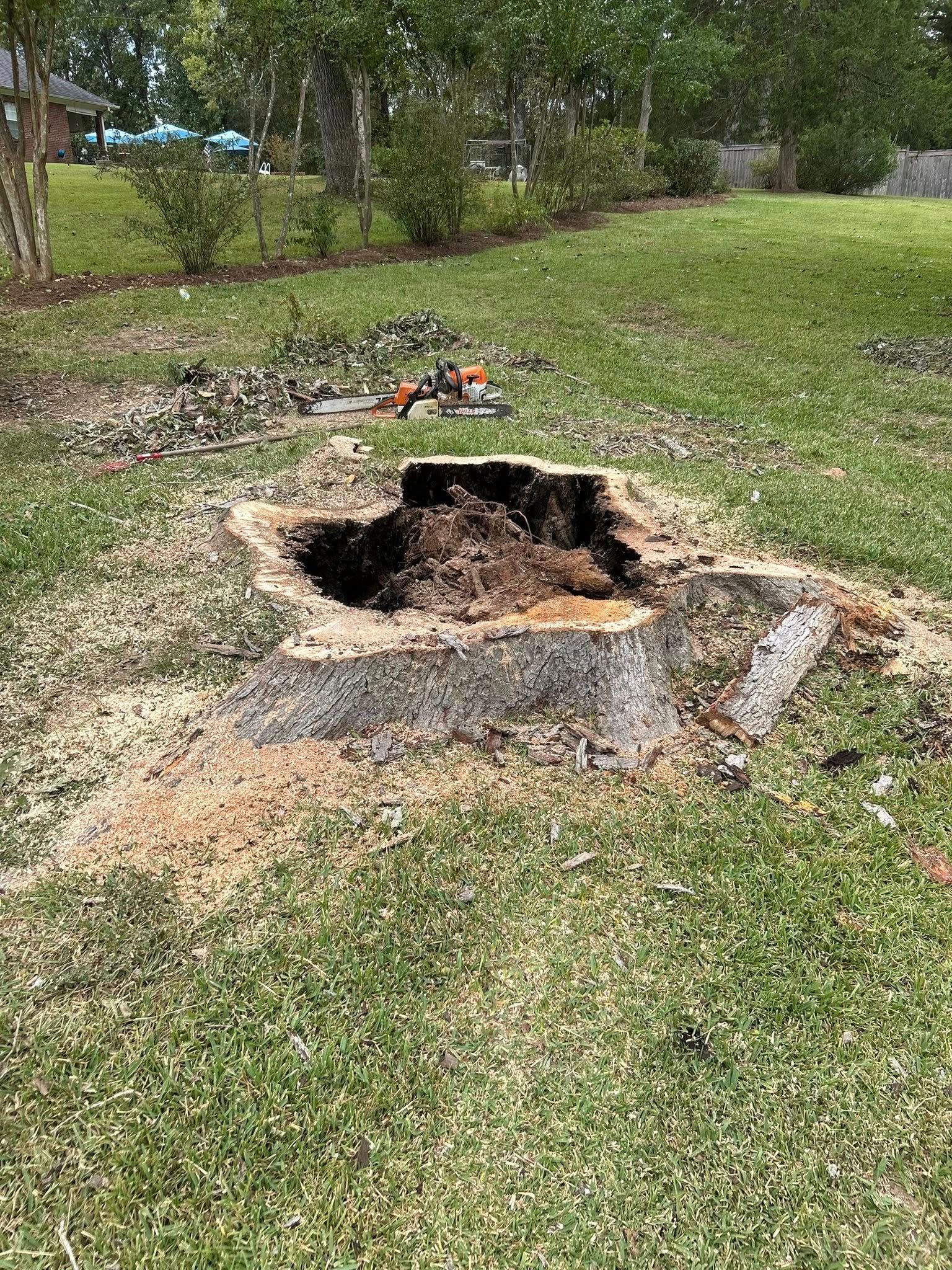 Burned-out fire pit ring in a grassy yard with a dark charred center and scattered ash