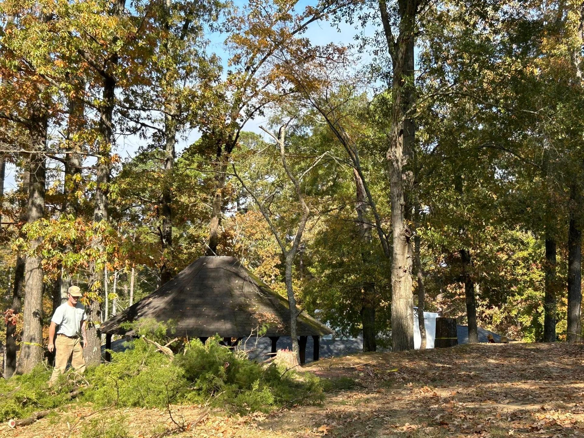A person stands near a thatched hut in a wooded park with autumn trees.