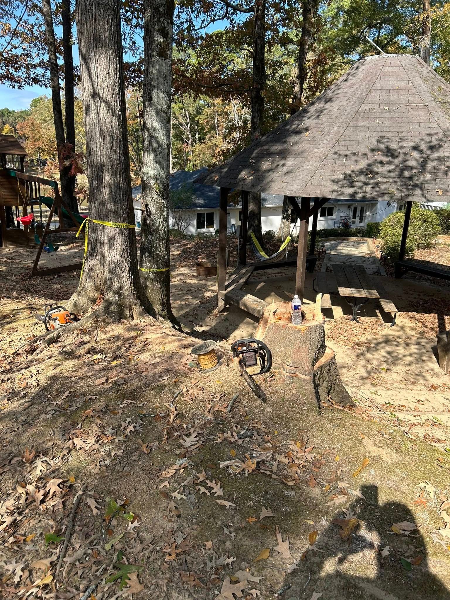 Rustic outdoor shelter with a thatched roof among tall trees and fallen leaves in autumn sunlight