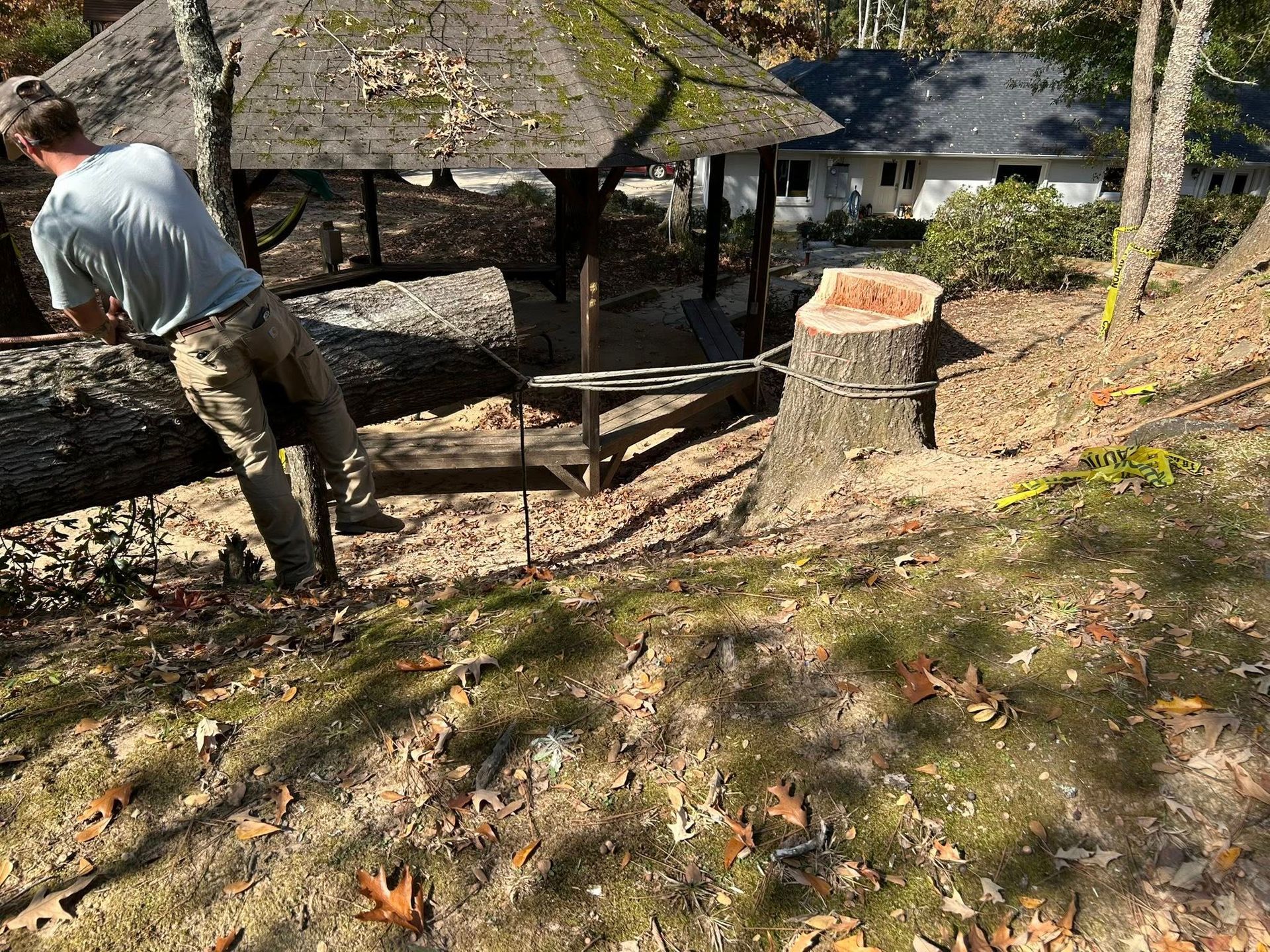 Person standing by a rustic shelter and fence in a wooded outdoor area, with a tree stump in the foreground