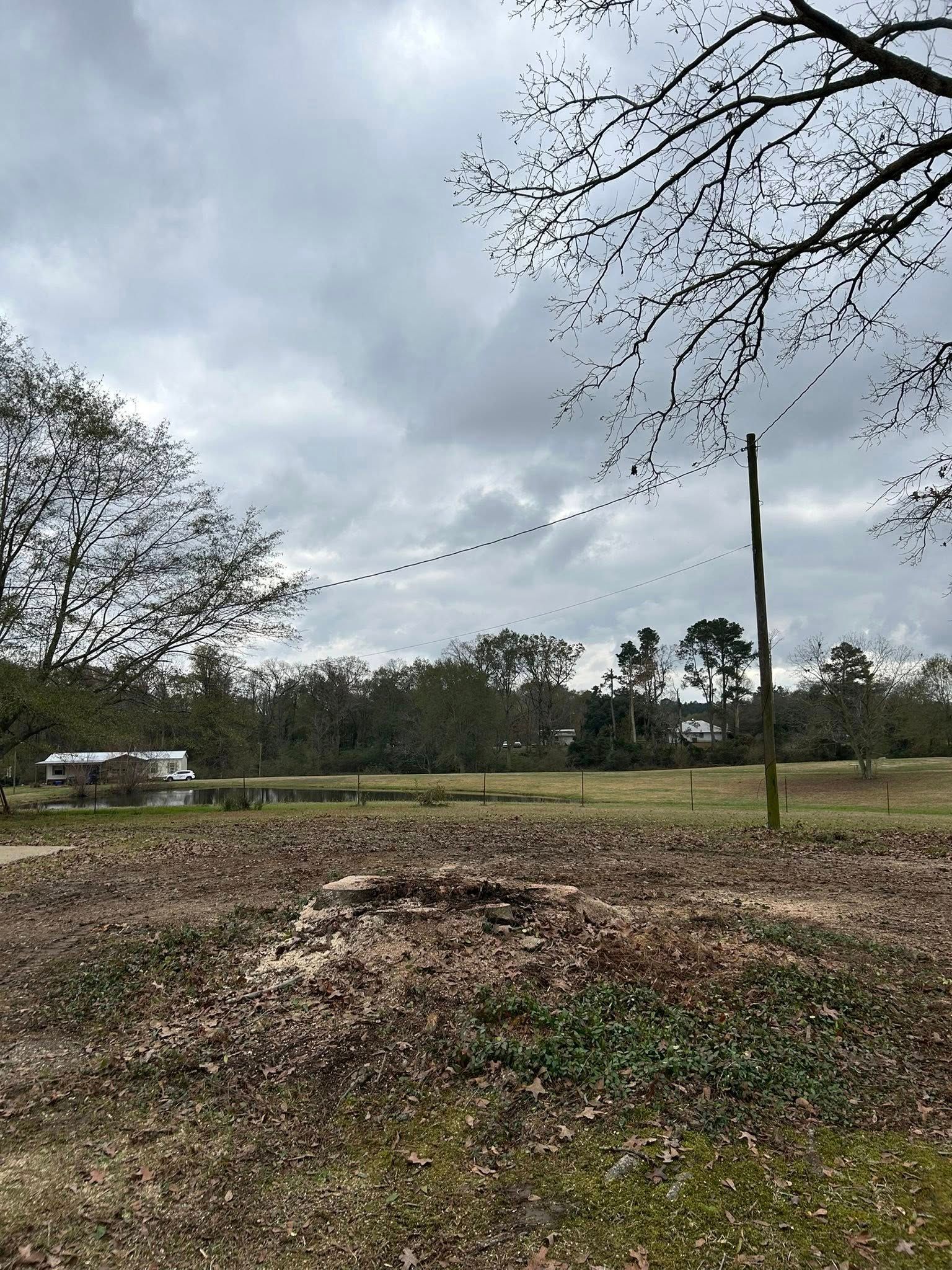 Overcast rural field with dirt mound, trees, and a distant utility pole