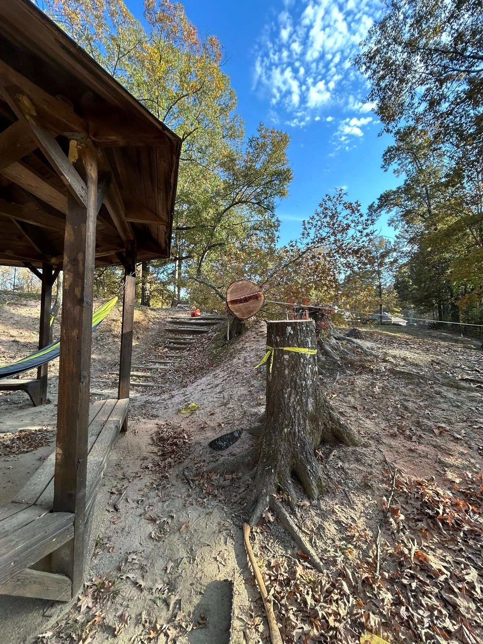 Wooded backyard with a tree stump, stone wall, and wooden shelter under a blue sky