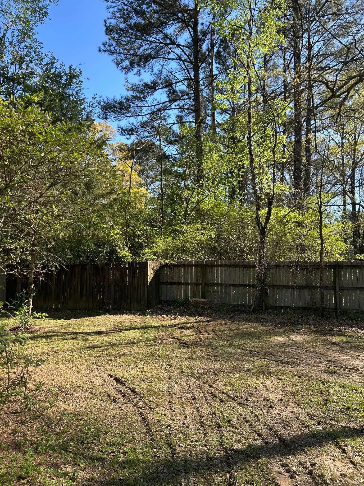 Sunny backyard with a wooden fence, trees, and patchy grass under a blue sky