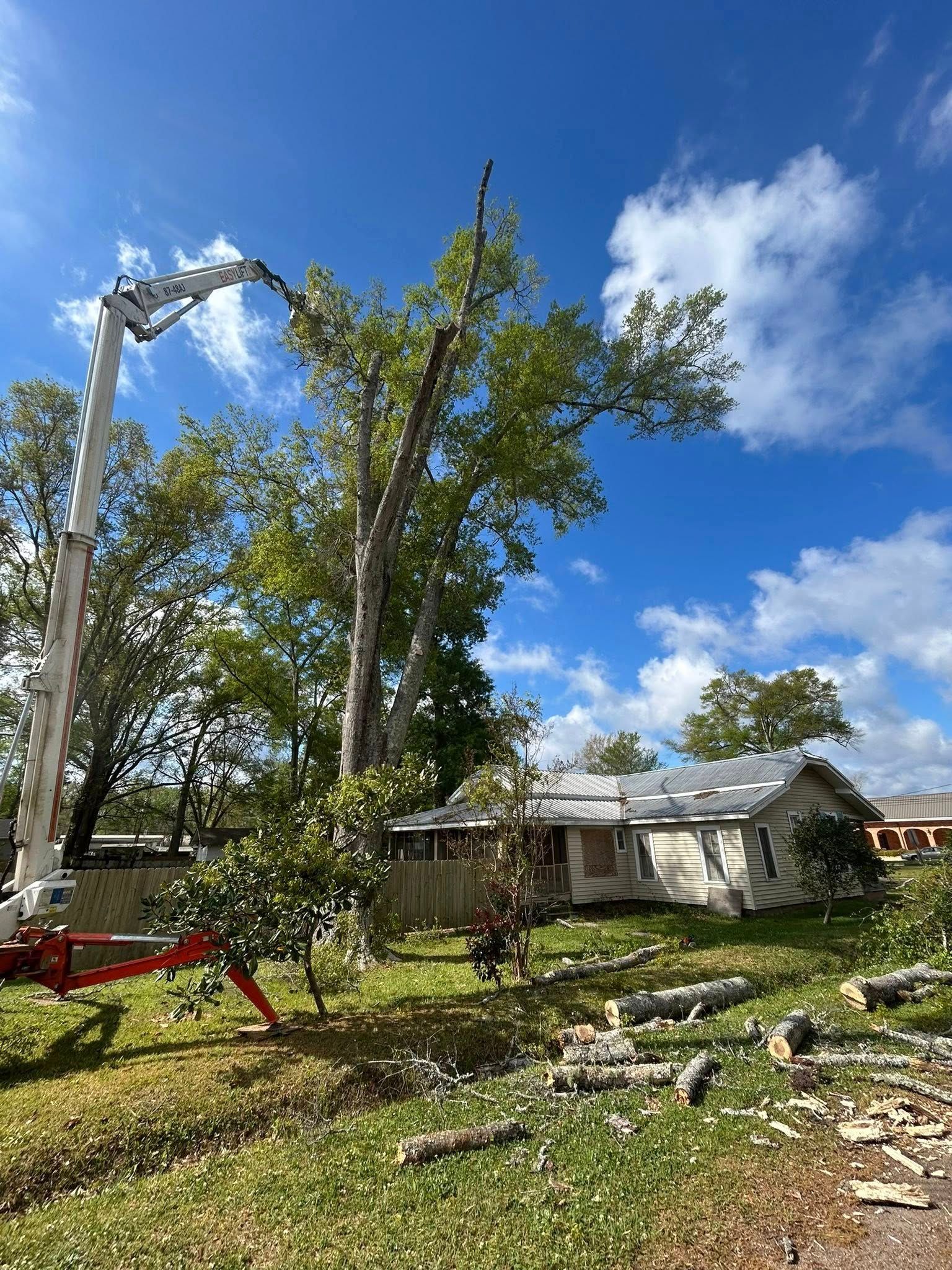 Storm damage with a fallen tree beside a house under a blue sky with scattered clouds.