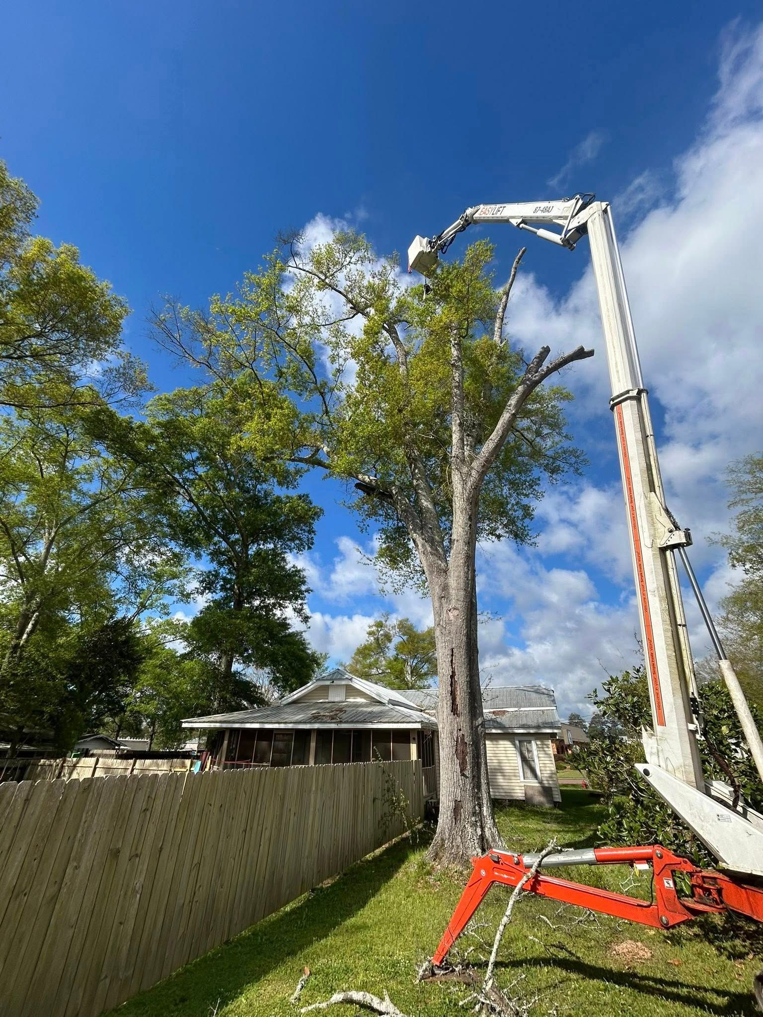Tree trimming crane beside tall tree in a backyard under a blue sky