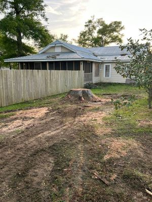 Overgrown yard with a weathered house, fenced side yard, and tree stump in the foreground