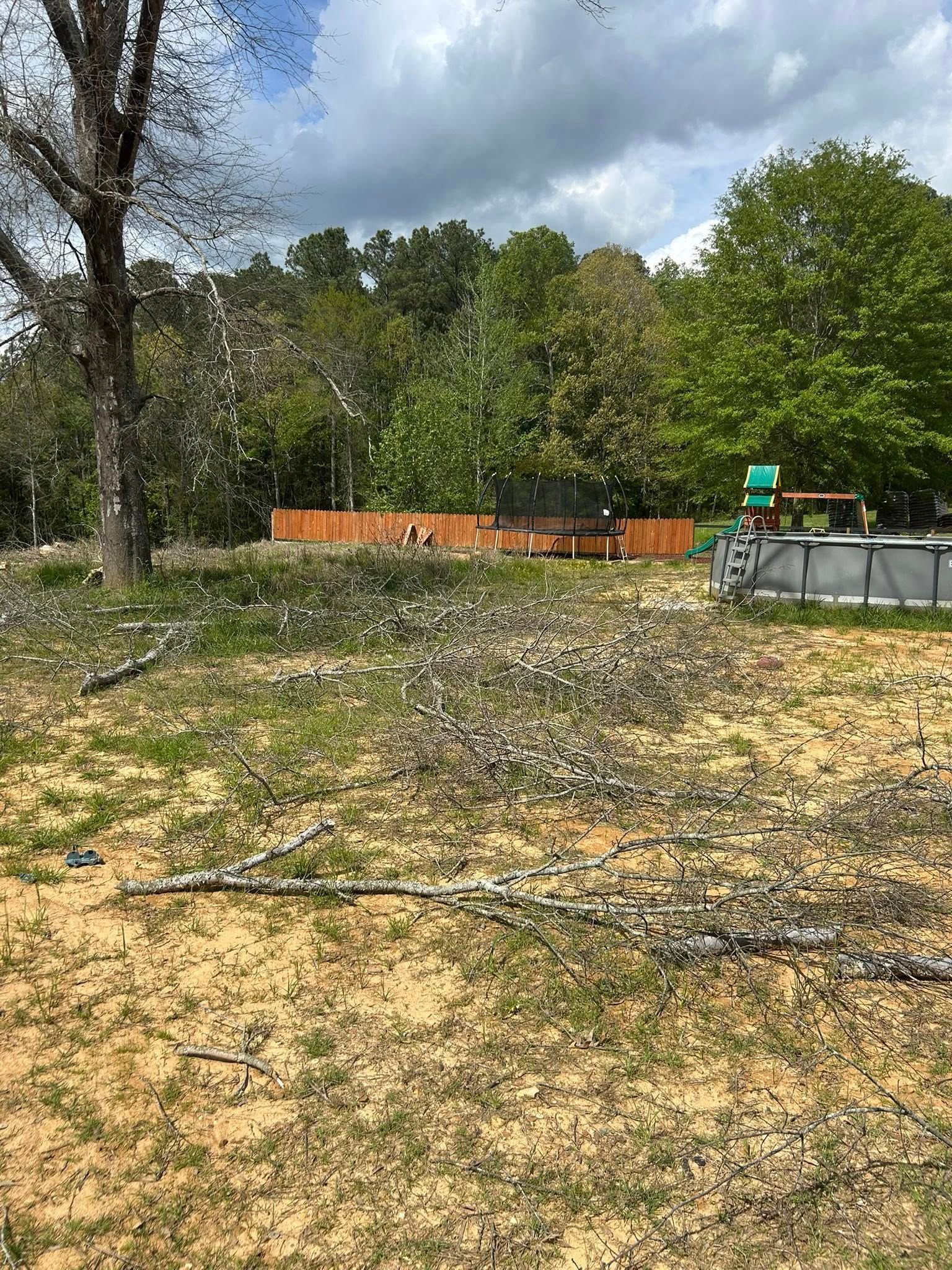 Wooded lot with cleared ground, fallen branches, orange fencing, and a green utility bin near the roadside