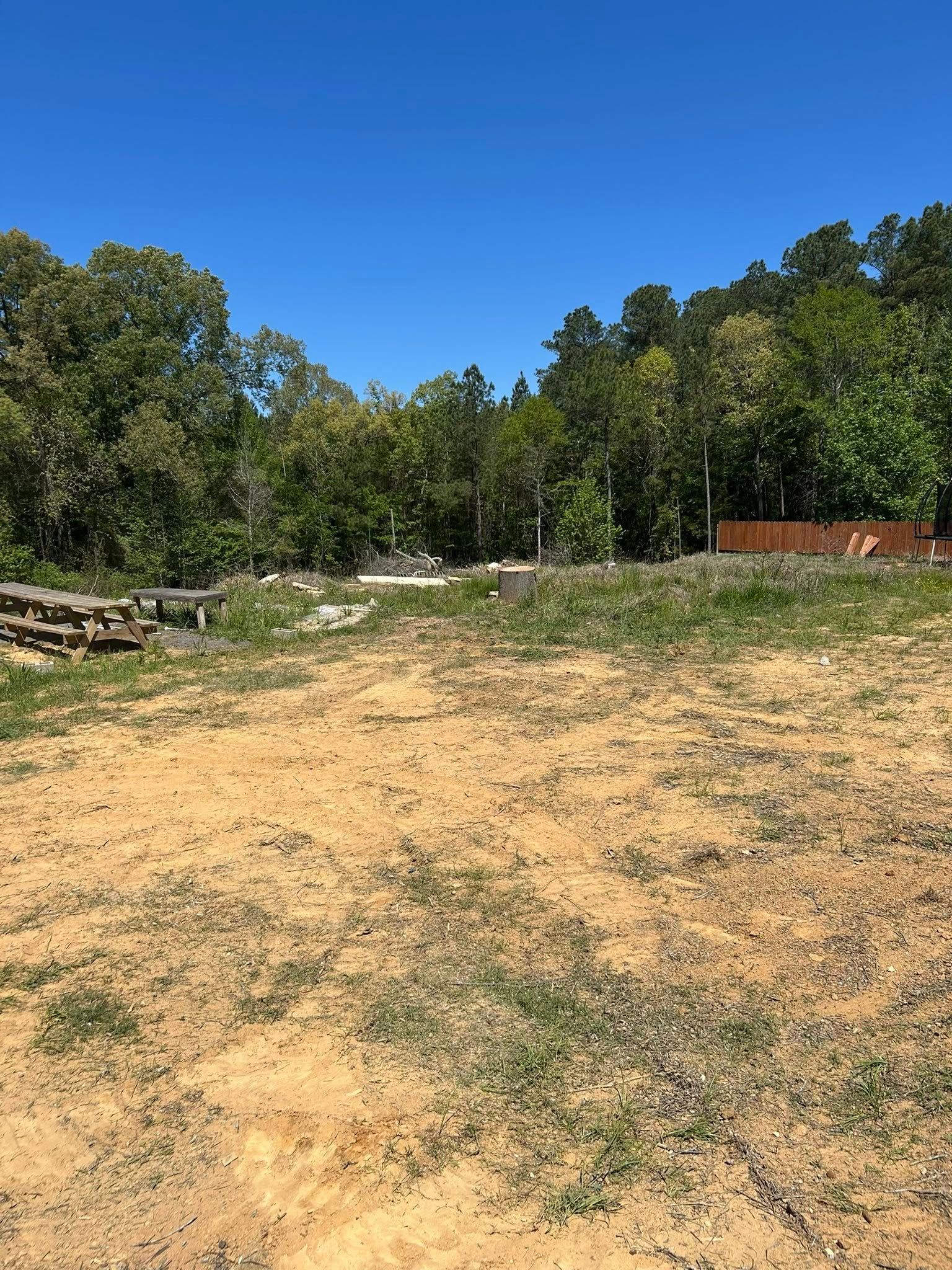 Dirt clearing bordered by trees under a bright blue sky, with a fence and woodpile on the left.