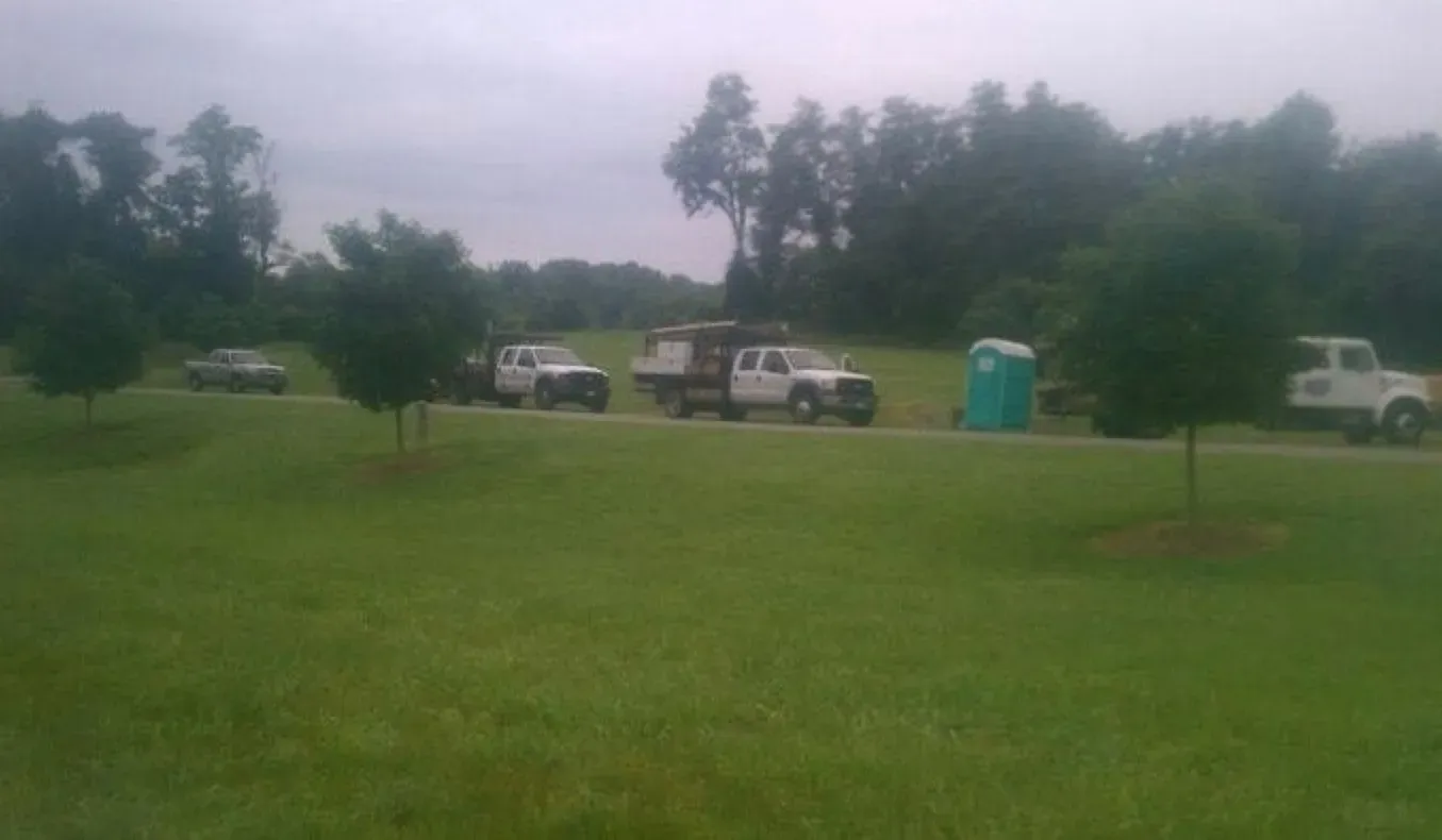A row of trucks are parked in a grassy field.