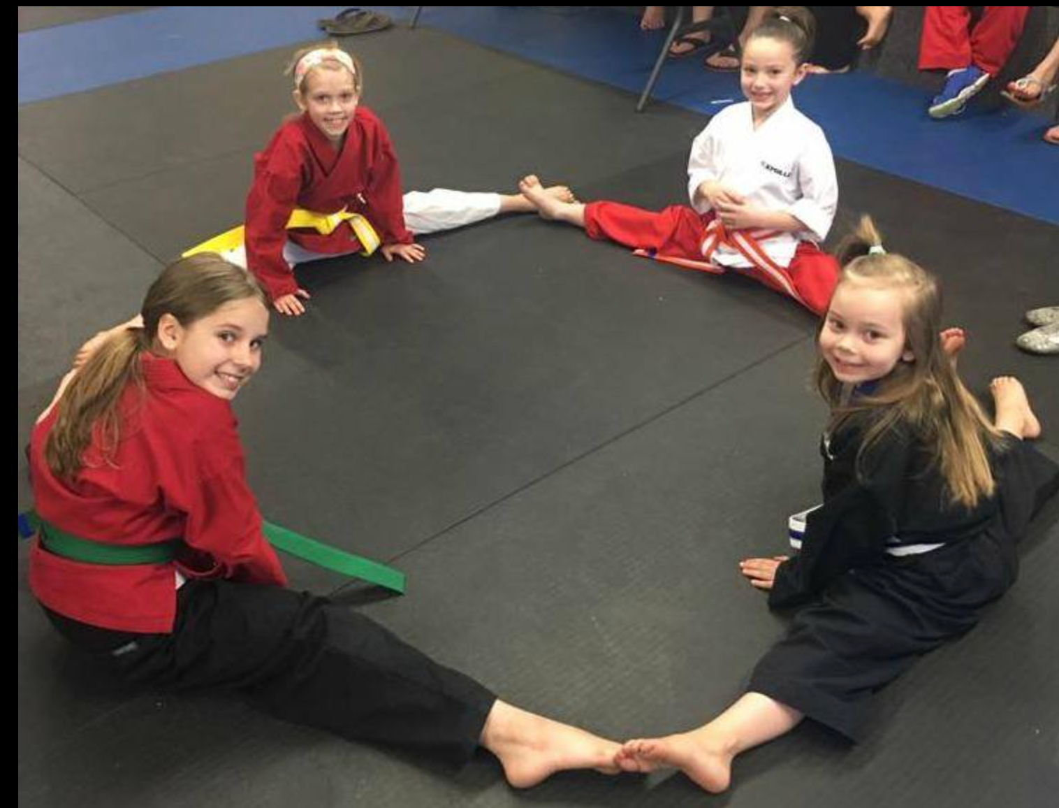 adult martial arts