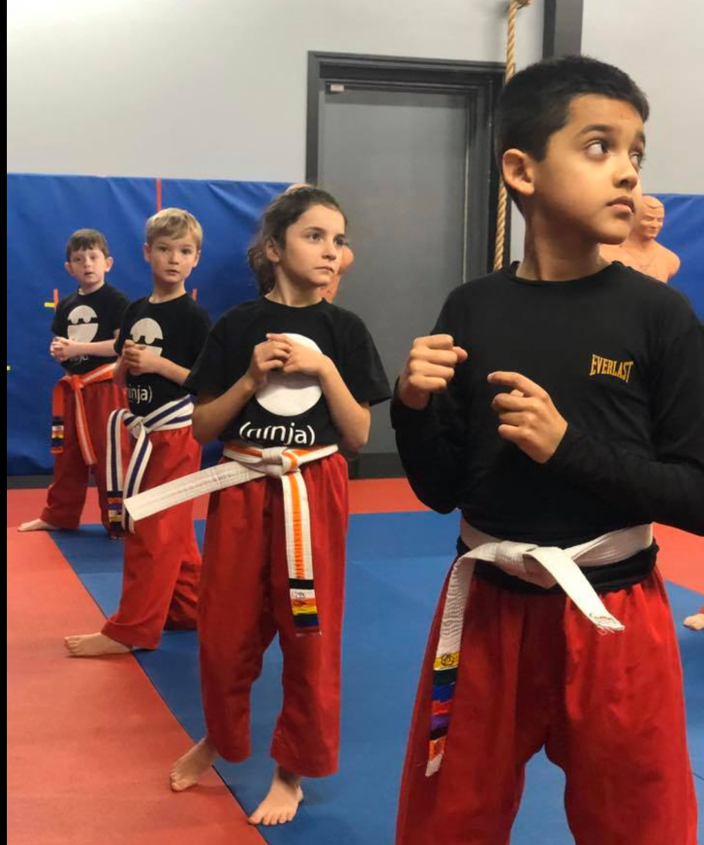 kids martial arts