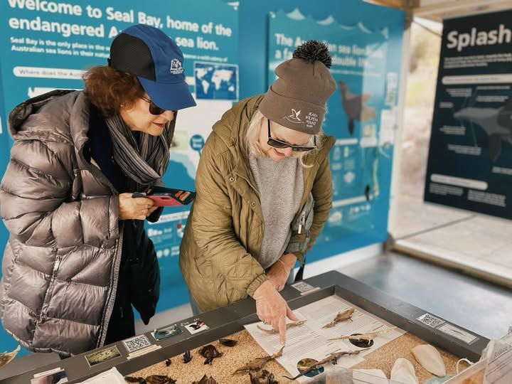 Two women examining display about Australian sea lions at Seal Bay exhibit
