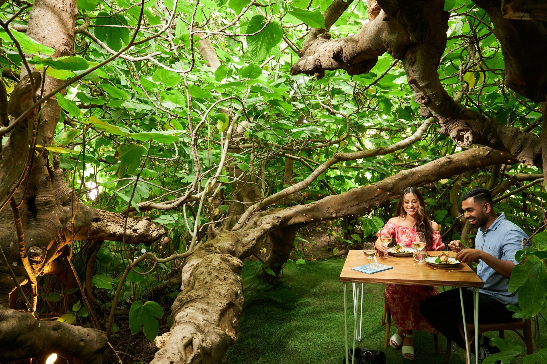 Couple dining at a table surrounded by lush greenery and large tree branches.