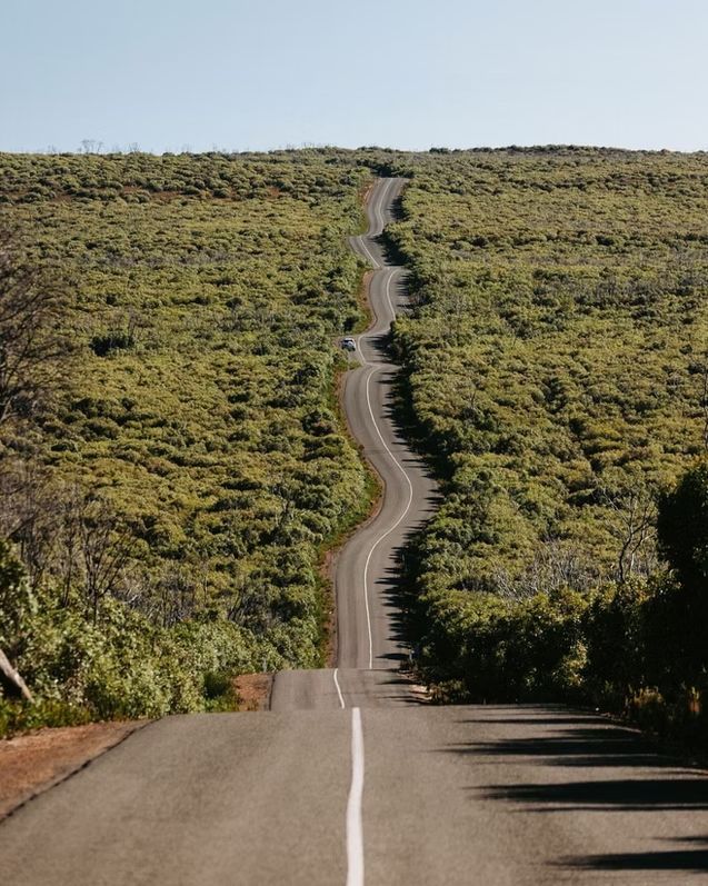 Winding road through a lush green