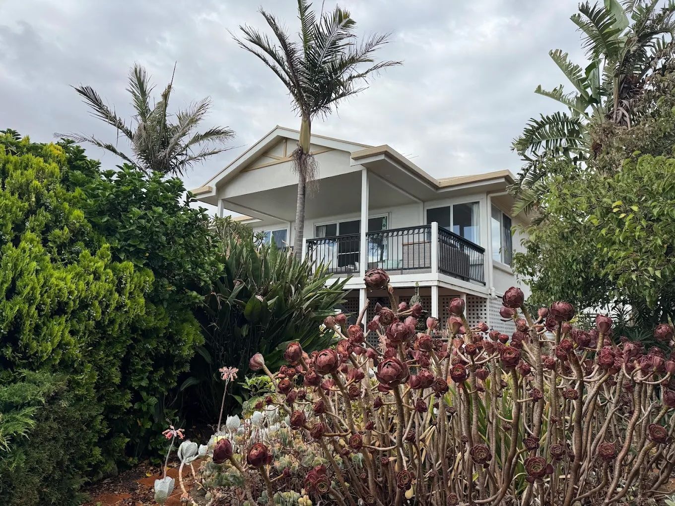 House with balcony framed by lush tropical plants and palm trees