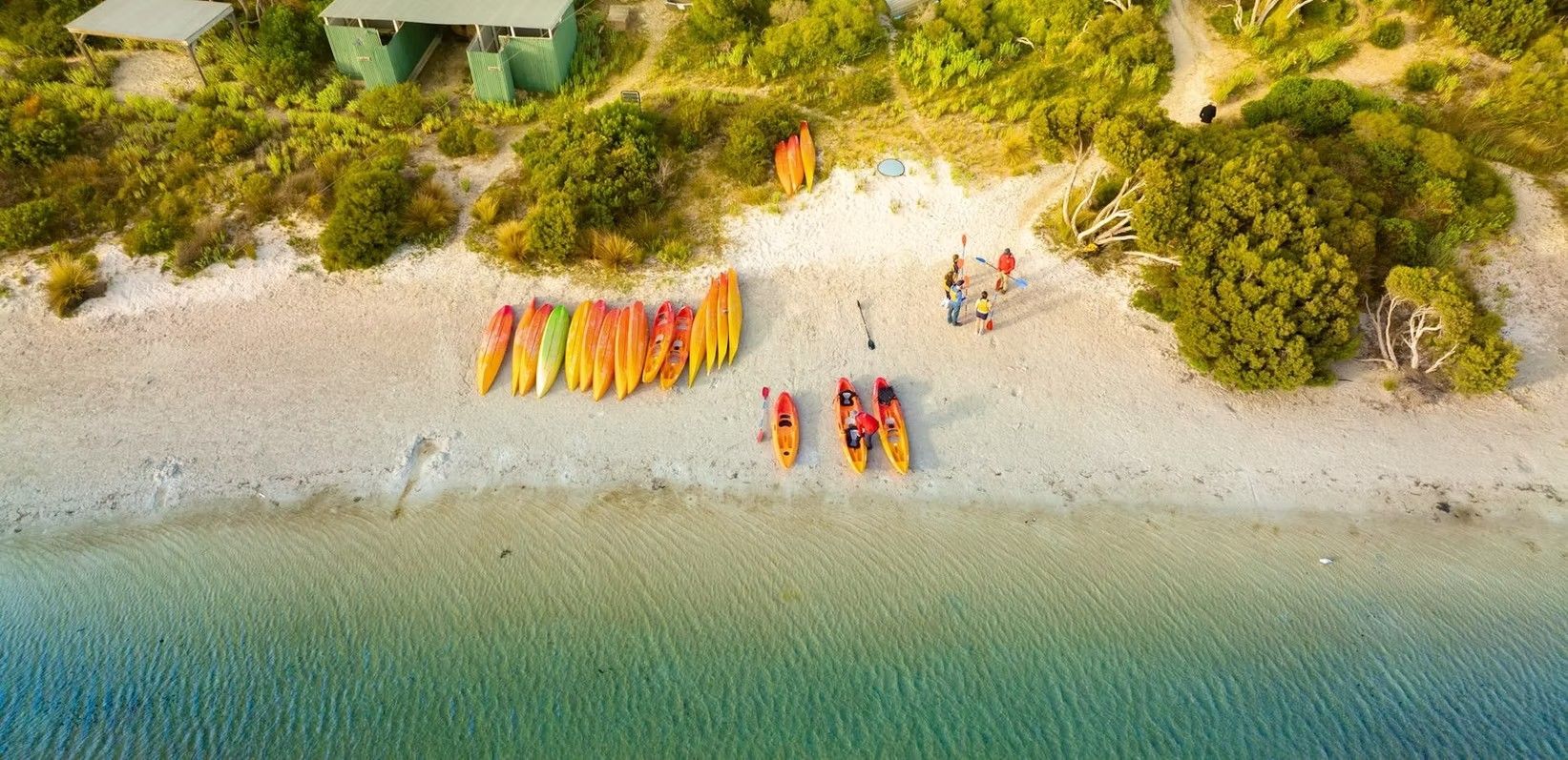 Kayaks lined up on a sandy beach near a lush green shoreline