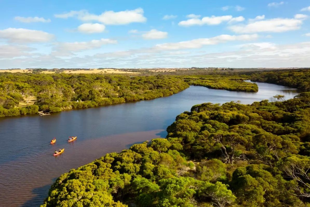 Kayaks on a river winding through lush green trees under a blue sky