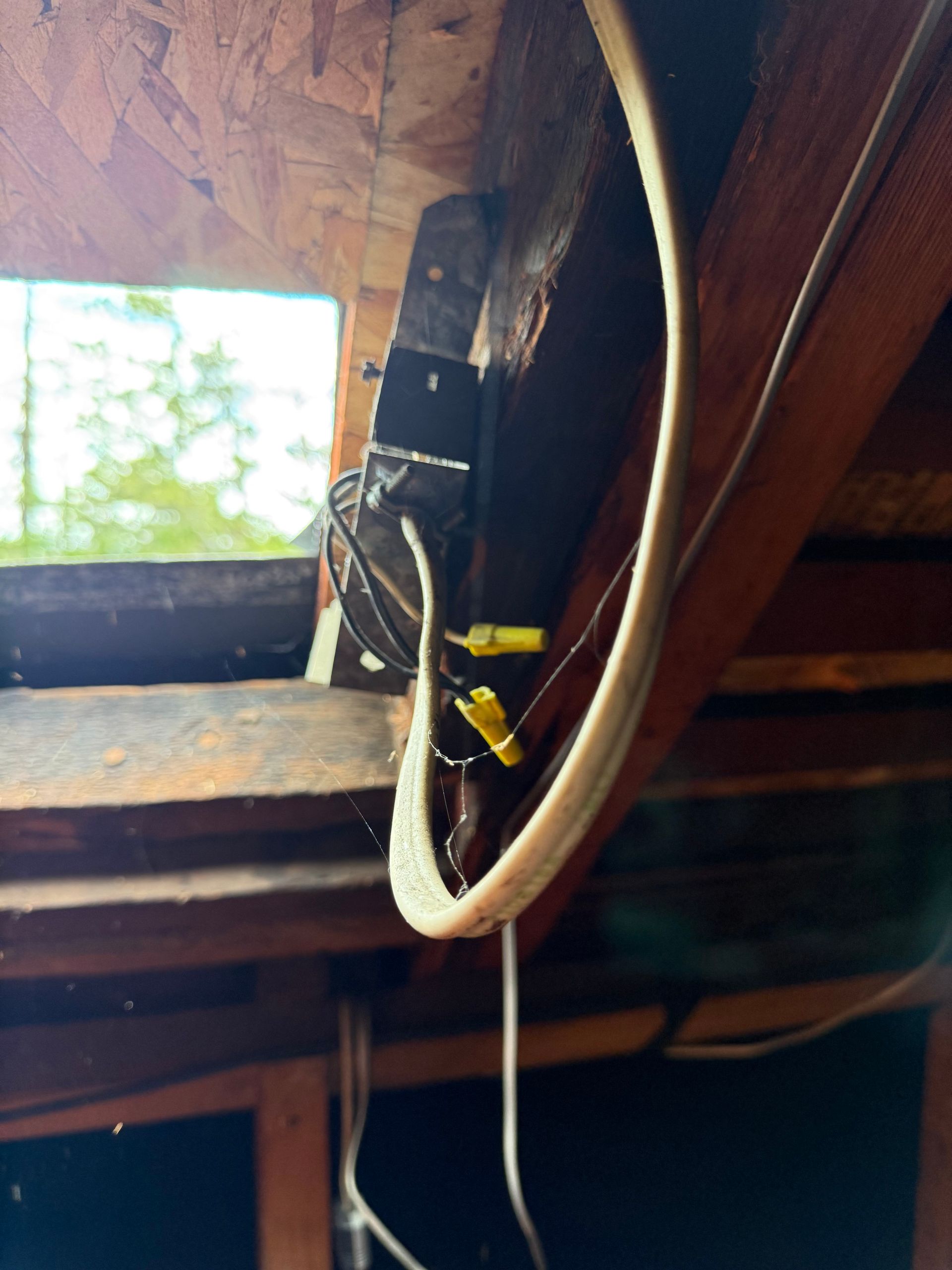 Electrical wires with yellow wire nuts connected to a junction box mounted on a wooden beam inside an attic space.