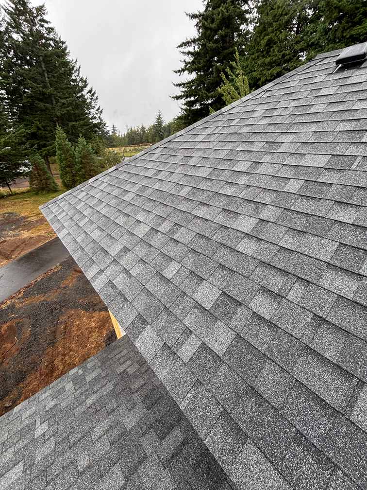 A high-angle view of a grey shingled roof under a cloudy sky, with pine trees in the background.