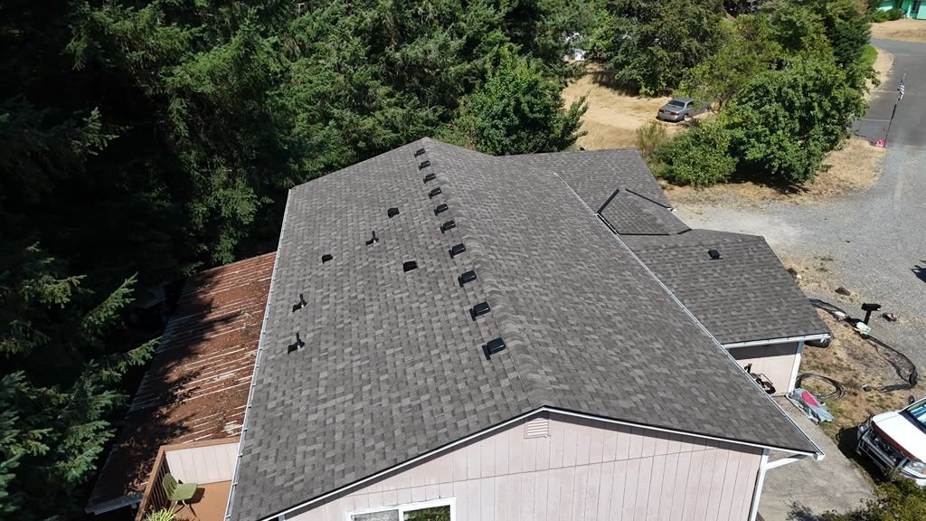 Aerial of the finished dark IKO Cambridge shingle roof with new vents, surrounded by evergreens