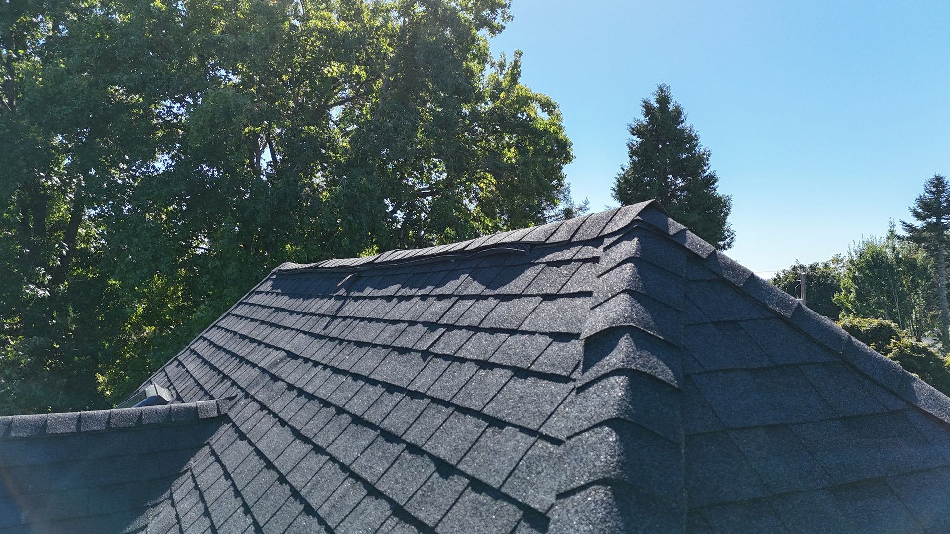 A close-up view of a dark, shingled residential roof under a bright blue sky with surrounding trees.