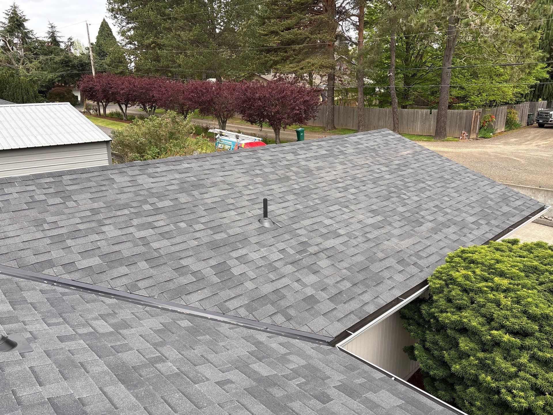 Gray shingled roof with a vent, beside trees and shrubs in a suburban yard
