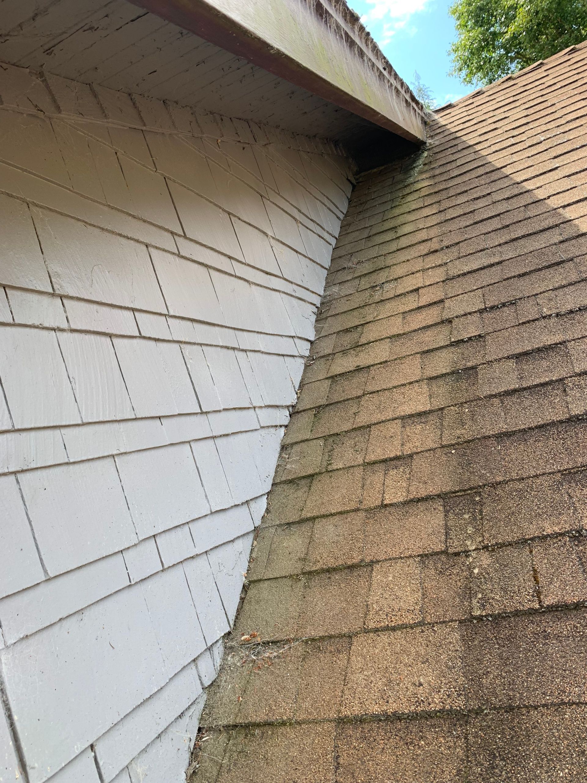 Moss and dark streaks along a roof valley where it meets painted shingle siding before the rebuild
