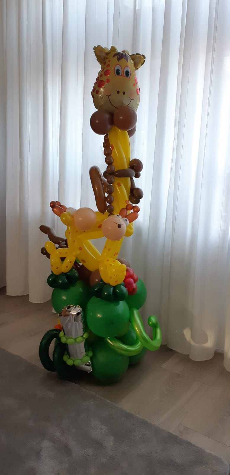 Ballonartiest Emmen, Assen, Borger, Musselkanaal, Stadskanaal, Eext, Exloo, Buinen, Hoogeveen, Leek, Roden