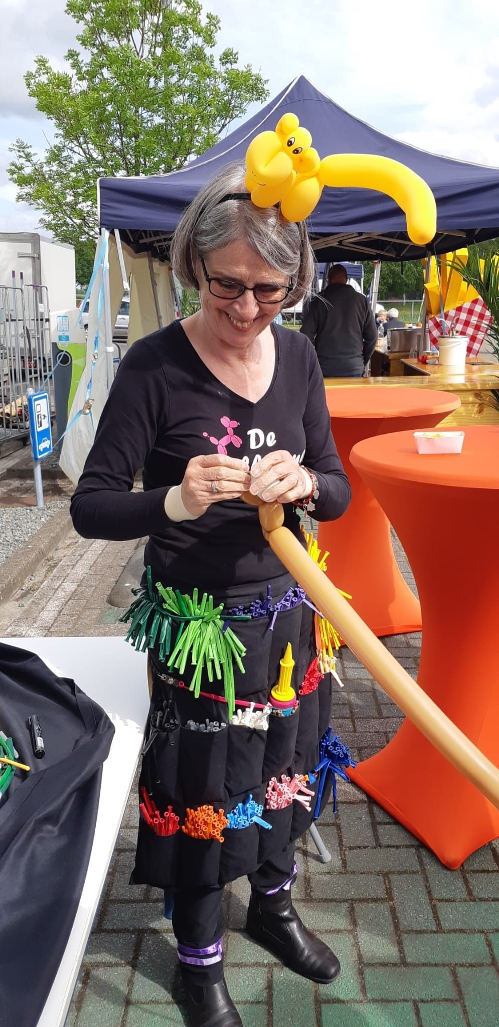 Ballonartiest Emmen, Assen, Borger, Musselkanaal, Stadskanaal, Eext, Exloo, Buinen, Hoogeveen, Leek, Roden