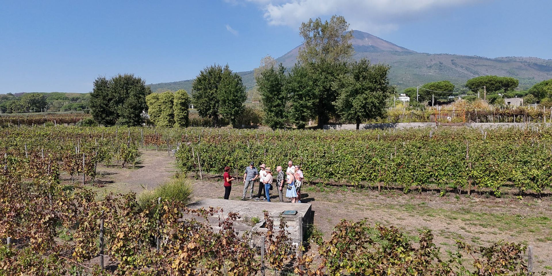 Vigneti alle falde del Vesuvio
