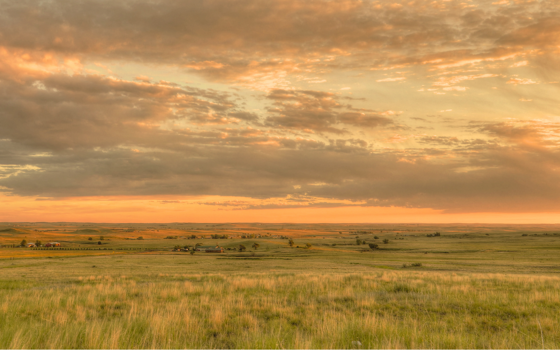Golden sunset over a grassy field with scattered trees, under a cloudy sky.