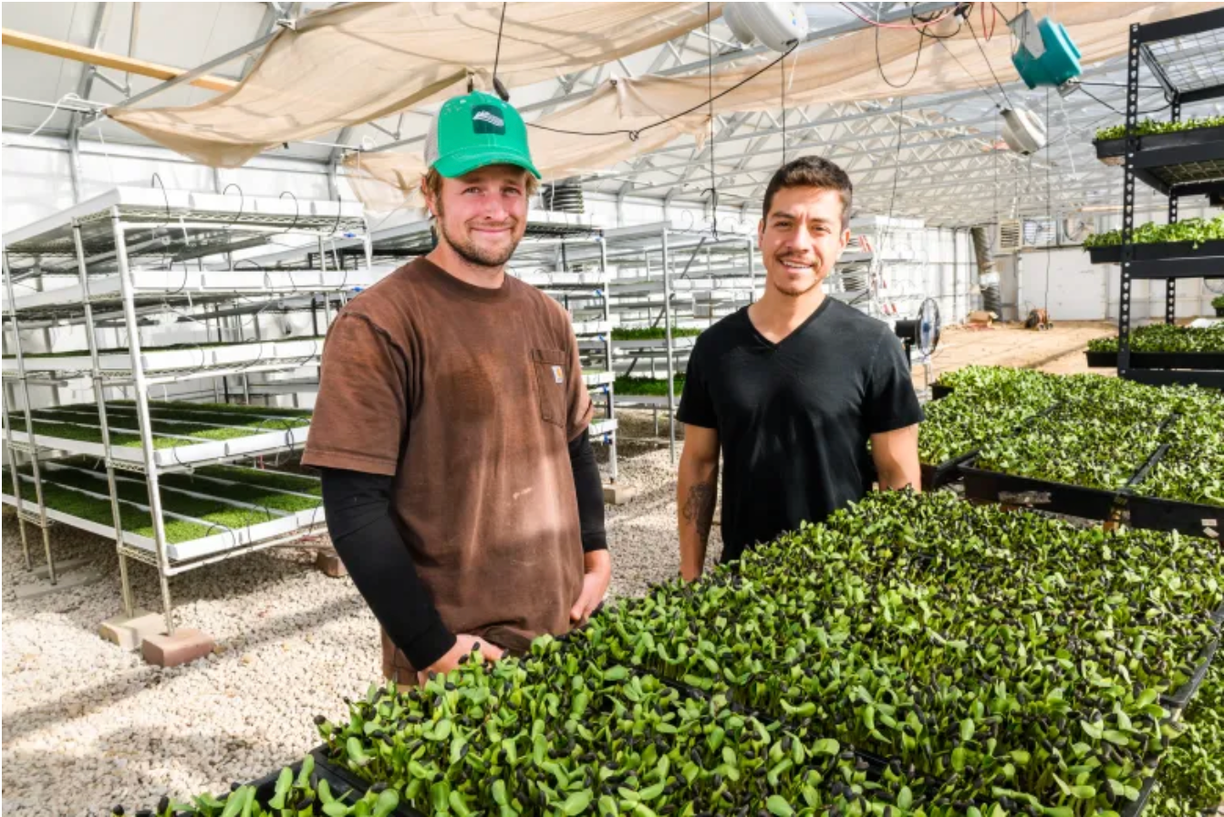 Two men smiling in a greenhouse, surrounded by trays of green plants; one in brown, one in black.