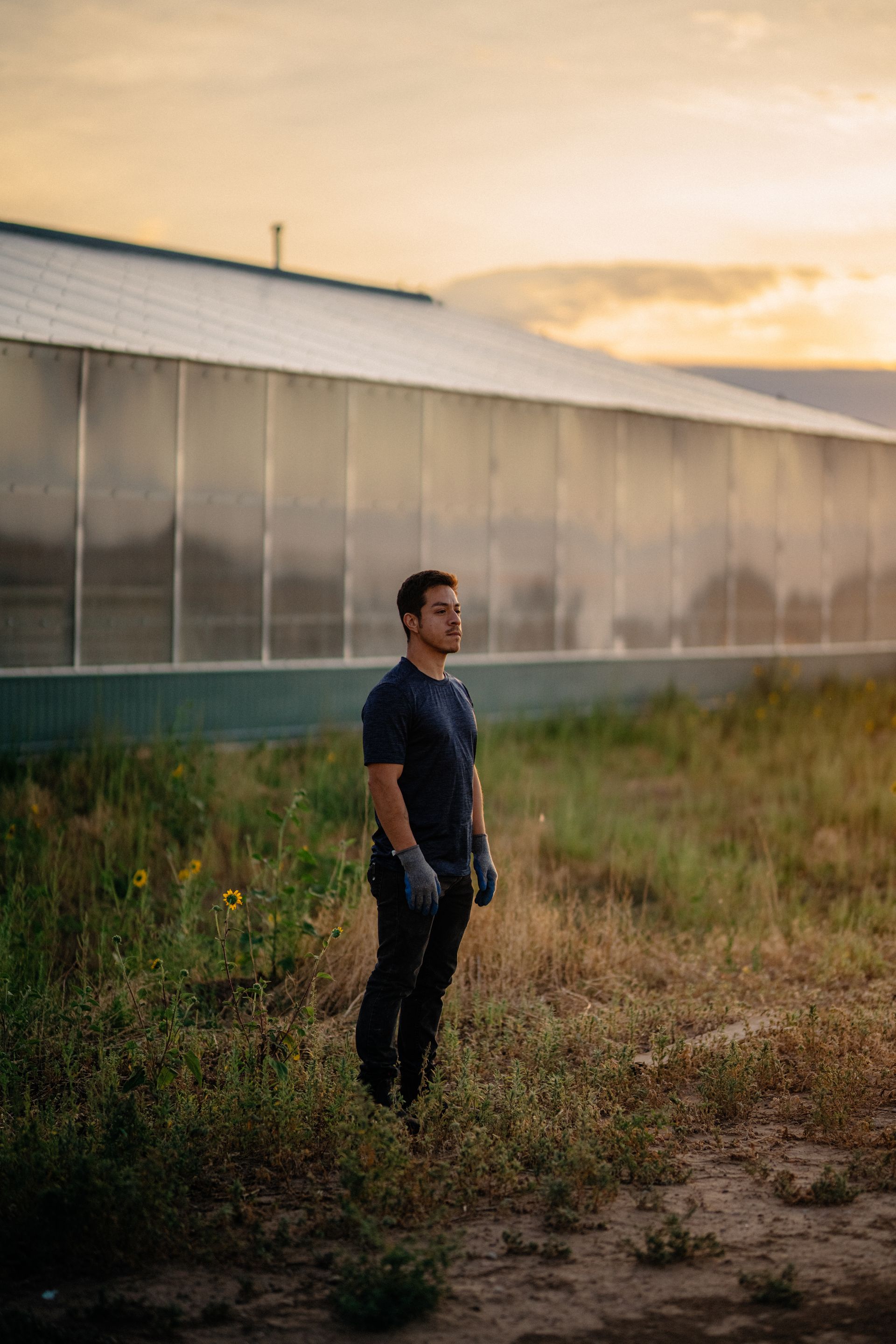 Man standing outdoors, facing away, near a greenhouse at sunset.