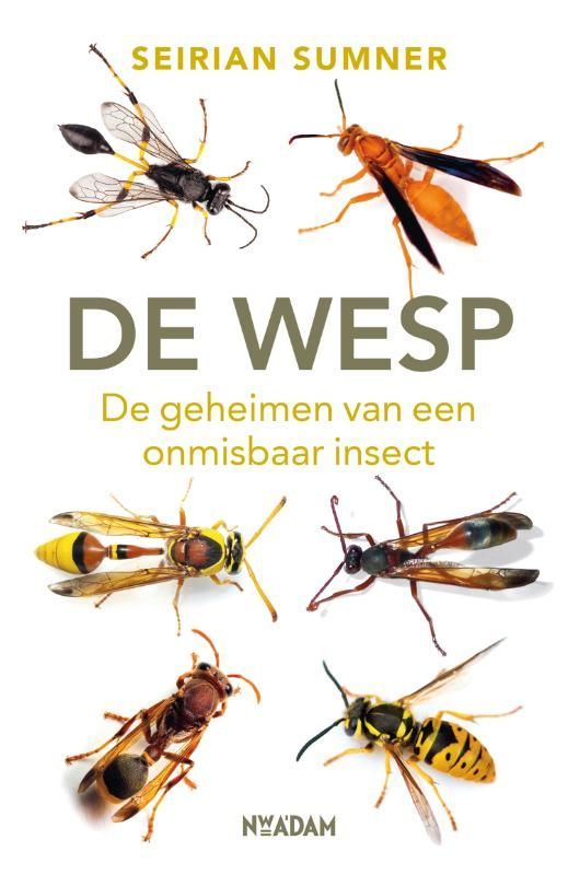 Boekcover: 