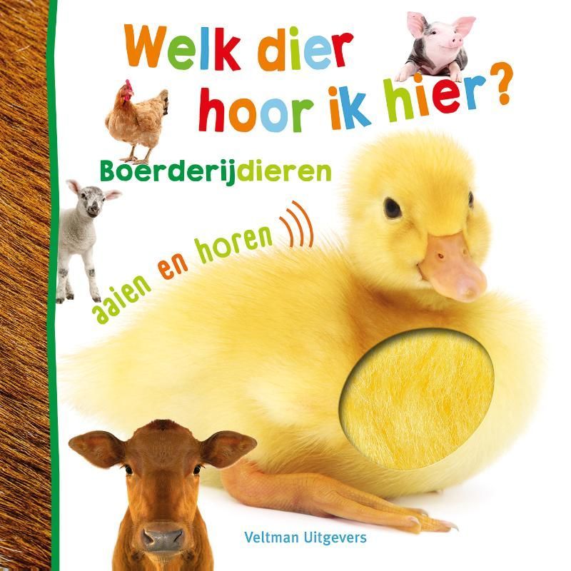 Welk dier hoort hier? - Boerderijdieren