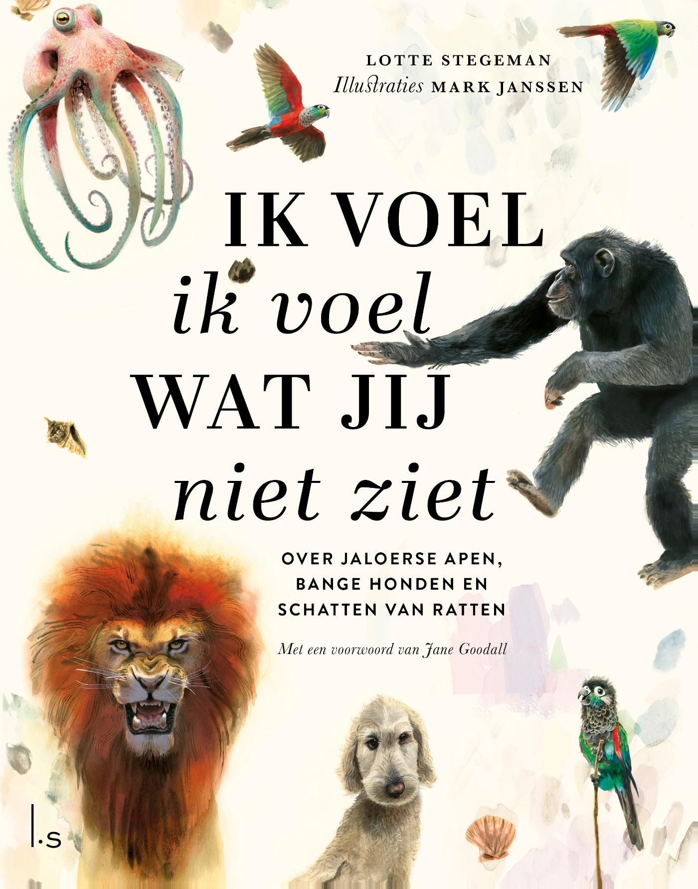 Lotte Stegeman; Ik voel ik voel wat jij niet ziet