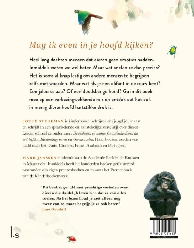 Lotte Stegeman; Ik voel ik voel wat jij niet ziet