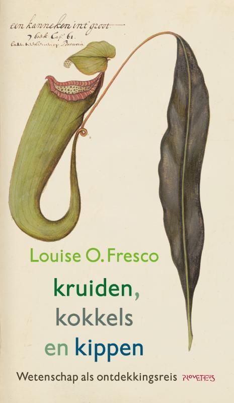 Geschiedenis essay; Kruiden, kokkels en kippen