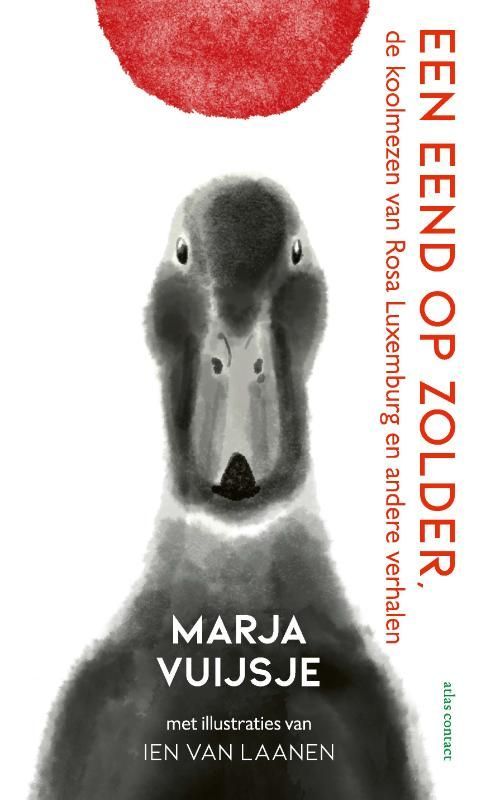 Marja Vuijsje; Een eend op zolder