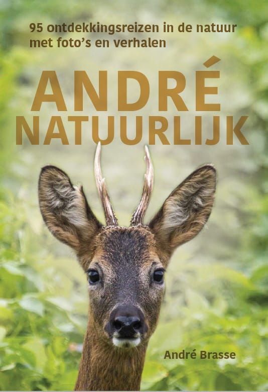 André Brasse; André natuurlijk