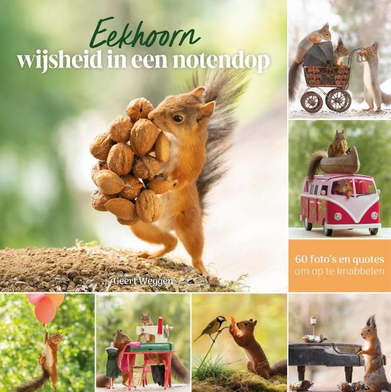 Geert Weggen; Eekhoorn wijsheid in een notendop