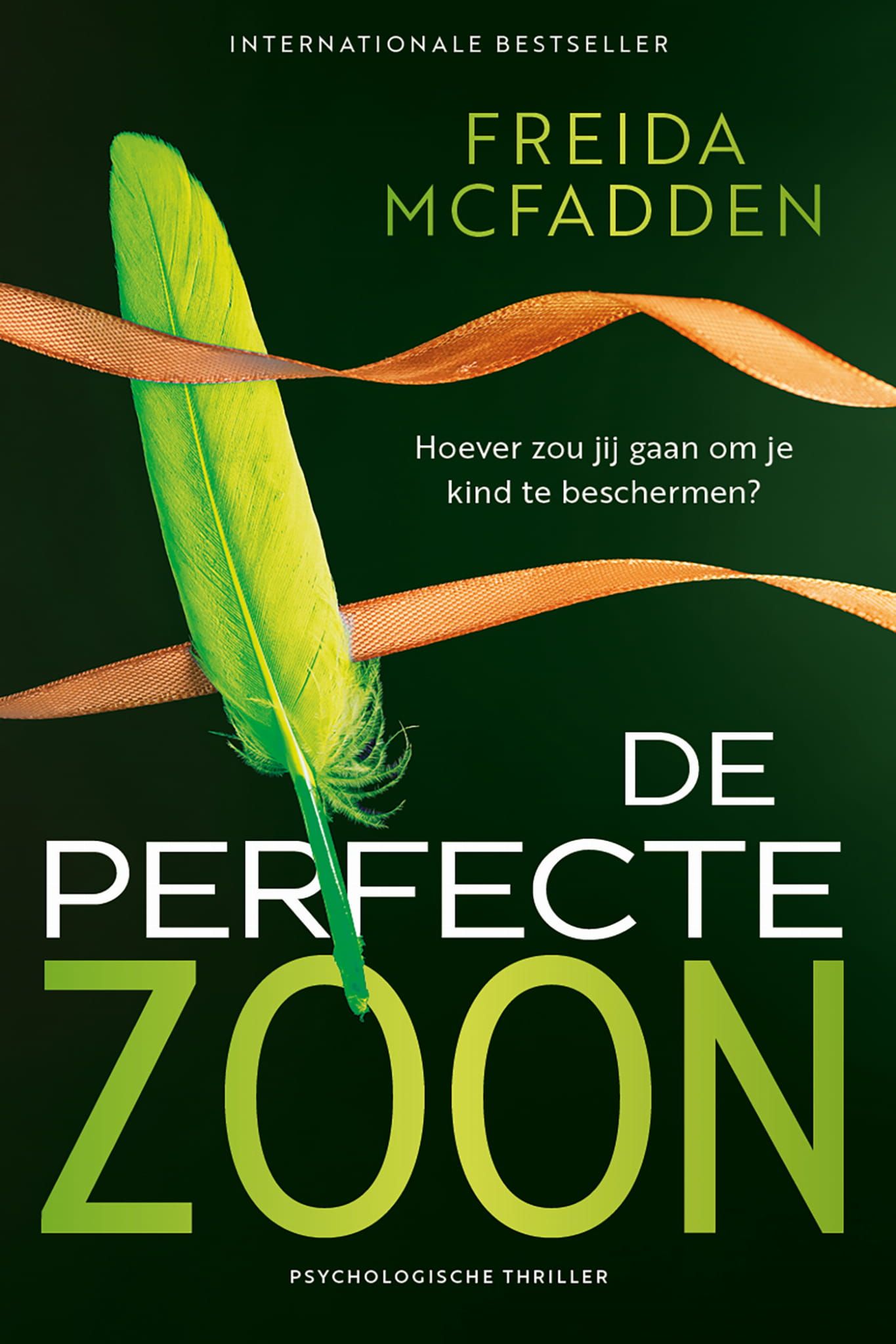 Freida McFadden; De perfecte zoon