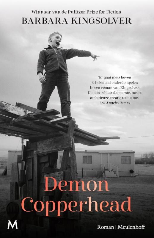 Barbara Kingsolver; Demon Copperhead