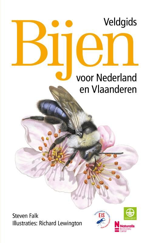 Richard lewington; Bijen - Veldgids voor Nederland en Vlaanderen